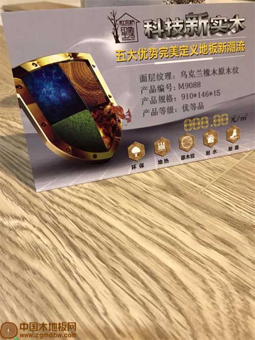 16145256655